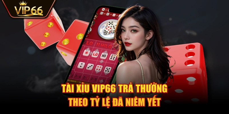 Tài Xỉu VIP66 trả thưởng theo tỷ lệ đã niêm yết